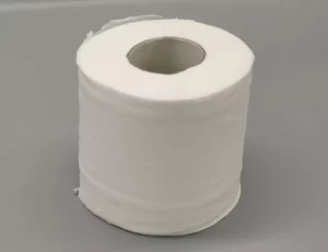 a toilet paper roll