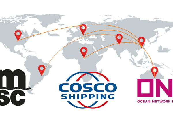 international business network and shipping company we cooperated